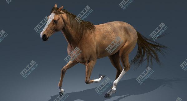 images/goods_img/20210312/3D Horse (Animated) model/5.jpg